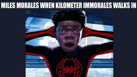 spider man into the spider verse memes|27 Spider